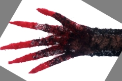 Single Hand
