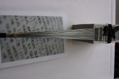 The Fan Book
